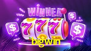 Experiência VIP bigwin
