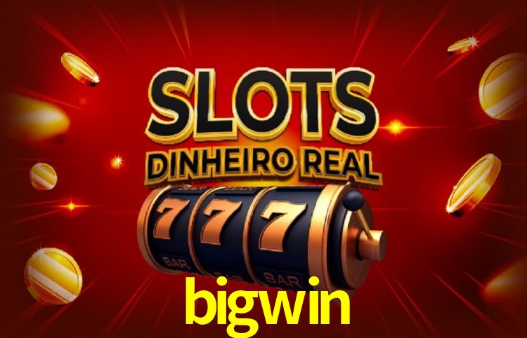 Sistemas de Segurança bigwin